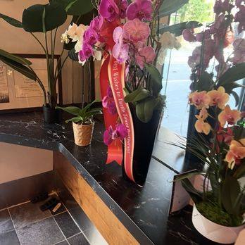 Turtle Tower - It seems they won the pageant for the best flower ( flour) - Vietnamese Near Me - San Francisco, California Turtle Tower - It seems they won the pageant for the best flower ( flour) - Vietnamese Near Me - San Francisco, California