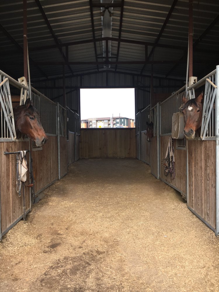 Marine Creek Stables - equestrian in Fort Worth, TX