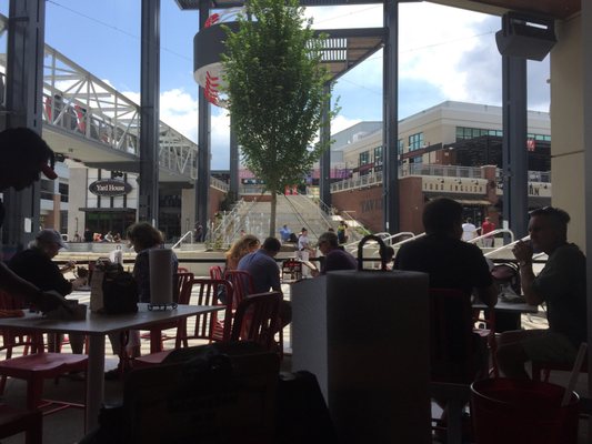 Terrapin Taproom by null