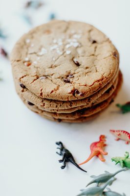 T-Rex Cookie Company by null