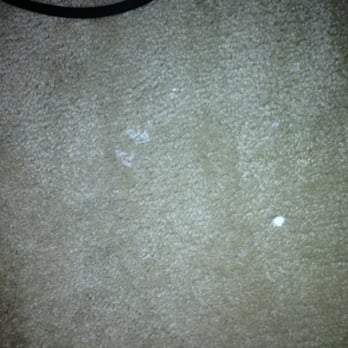 Just Paint Services - Paint on carpet - Painters Near Me - Williamstown, New Jersey Just Paint Services - Paint on carpet - Painters Near Me - Williamstown, New Jersey