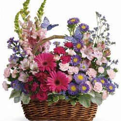 Campbell's Flowers & Greenhouses