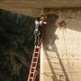 Photo of Advanced Animal Removal