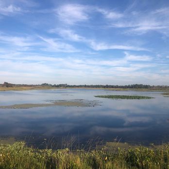 Orlando Wetlands - Parks Near Me - Christmas, Florida