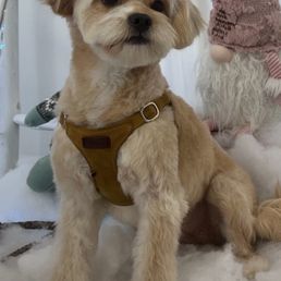 One of tortilla haircuts One of tortilla haircuts