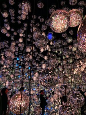 teamLab Borderless: MORI Building DIGITAL ART MUSEUM by null