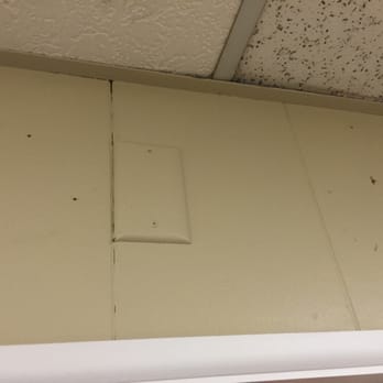 Vivint - More Vivint damage. - Security Systems Near Me Vivint - More Vivint damage. - Security Systems Near Me