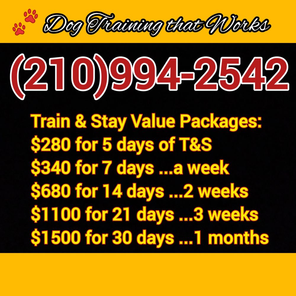 Shogun "Outsiders" Kennel Club - pet boarding facility in San Antonio, TX