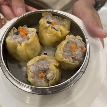 New Gold Mountain - 99. Steamed Shrimp & Pork Dumpling - Dim Sum Near Me - Omaha, Nebraska New Gold Mountain - 99. Steamed Shrimp & Pork Dumpling - Dim Sum Near Me - Omaha, Nebraska
