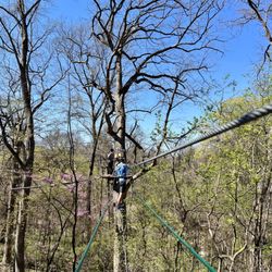 Go Ape Zipline & Adventure Park - In the trees