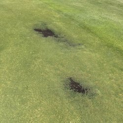 Moccasin Wallow Golf Club - More holes