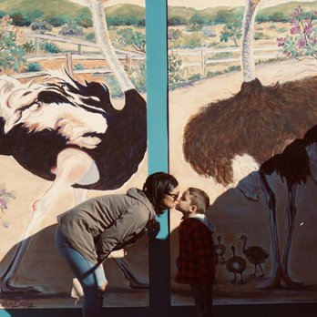 Ostrichland USA - Attraction Farms Near Me - Solvang, California