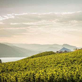 Poplar Grove - Tapas/Small Plates Near Me - Penticton, British Columbia Poplar Grove - Tapas/Small Plates Near Me - Penticton, British Columbia