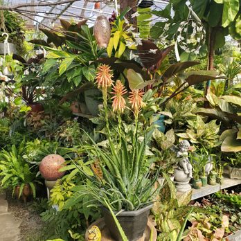 Bountiful Gardens - Ewing - Nurseries & Gardening Near Me - Ewing Township, New Jersey