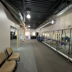 Phoenix Sports + Spinal Medicine - Workout Area