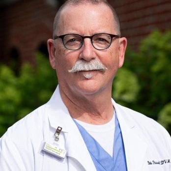 Battleground Hospital for Animals - Veterinarians Near Me - Franklin, Tennessee Battleground Hospital for Animals - Veterinarians Near Me - Franklin, Tennessee