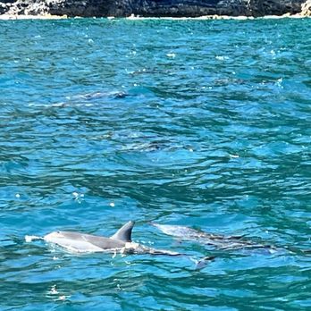 Napali Seabreeze Tours - Boat Charters Near Me