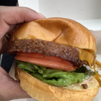 Basic Burger - Veggie burger, very bland and rubbery patty - Burgers Near Me - Vienna, Virginia