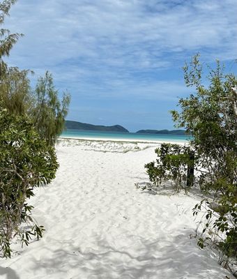 Red Cat Adventures - Thundercat Day Tour by null