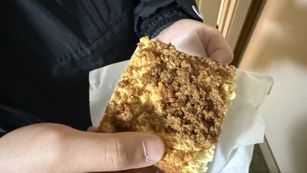 The Black Bear by null