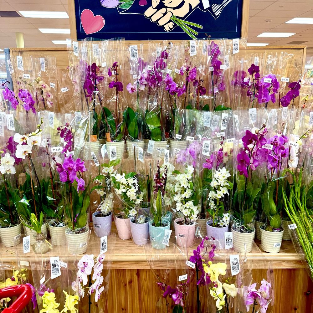 Trader Joe's - Front of store - Grocery Near Me - Katy, Texas