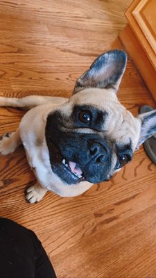 UNDERWORLD TATTOO - Updated December 2024 - 17 Reviews - 282 Main St, Salem, New Hampshire