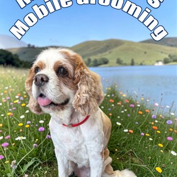Muddy Paws Mobile Grooming - Pet Groomers Near Me - Norco, California Muddy Paws Mobile Grooming - Pet Groomers Near Me - Norco, California