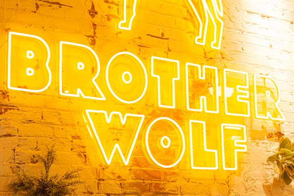 Brother Wolf by null