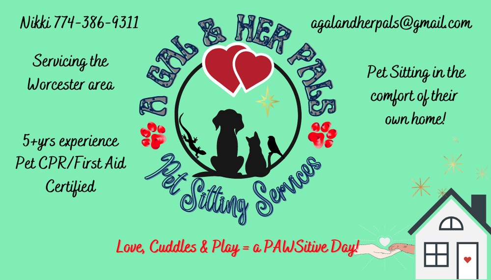 A Gal & Her Pals Pet Sitting - pet boarding facility in Worcester, MA