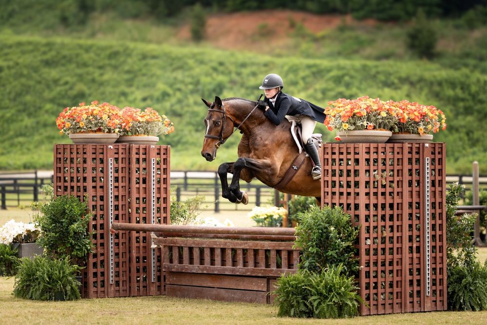 Windy Oaks Farm - equestrian in Fayetteville, GA