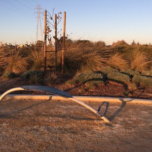 Redwood Shores Bay Trail on Yelp