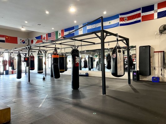 Sweet Science Boxing & MMA by null