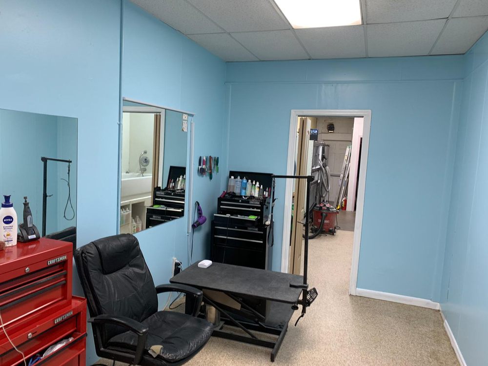 BARK OUT LOUD PET GROOMING Updated August 2024 13 Photos 5389 Ramsey St, Fayetteville