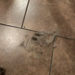 Angelic Pet Services - Mats still being brushed/pulled out after grooming