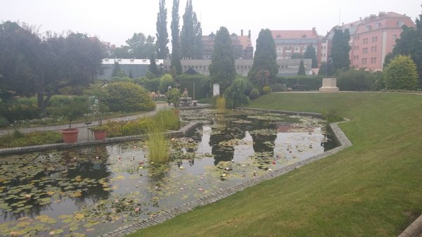 Botanical Garden of the University of Wrocław by null
