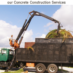 Clean Cut Tree Service & Stump Grinding, Inc