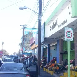 Flores de temporada de Río Bravo - Escoge lo que mas te gusta