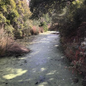 Del Valle Regional Park - Parks Near Me - Livermore, California