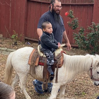 Ponylandia Pony Rides - Party & Event Planning Near Me Ponylandia Pony Rides - Party & Event Planning Near Me