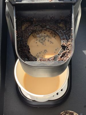 Loews Vanderbilt Plaza by null