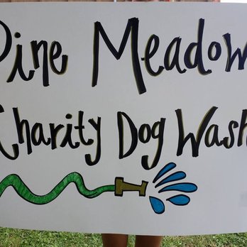 Pine Meadow Veterinary Clinic - Veterinarians Near Me - Pensacola, Florida