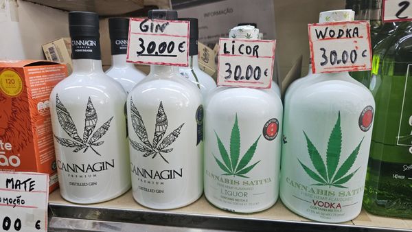 A Pérola do Bolhão by null