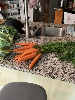 Full Circle Farm CSA by null