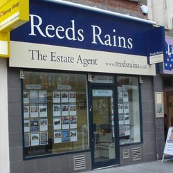Reeds Rains