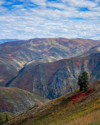 Sundance Mountain Resort by null