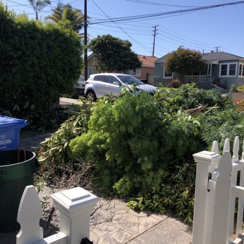 So Cal Pruners - Tree Services Near Me So Cal Pruners - Tree Services Near Me