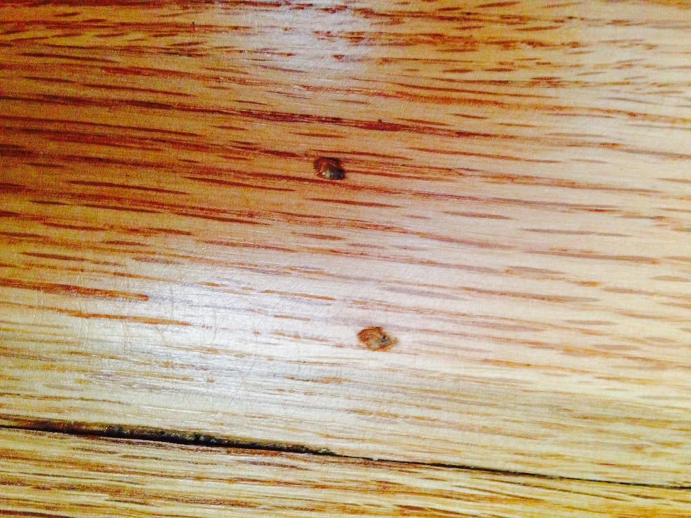 Slide of Parkview Restoration