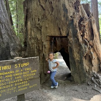 Shrine Drive Thru Tree - Landmarks & Historical Buildings Near Me - Meyers Flat, California Shrine Drive Thru Tree - Landmarks & Historical Buildings Near Me - Meyers Flat, California