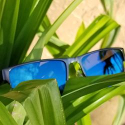 LensCrafters - AX frames with husband's lens finish pick! Custom shades!