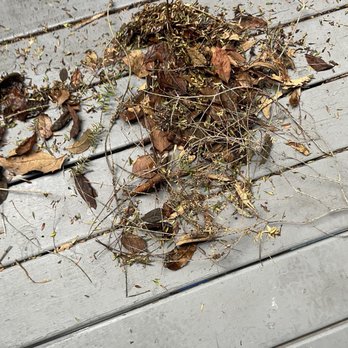 Peninsula Place Homeowners - More leaves, dirt and debris on my back deck. - Apartments Near Me - San Bruno, California Peninsula Place Homeowners - More leaves, dirt and debris on my back deck. - Apartments Near Me - San Bruno, California